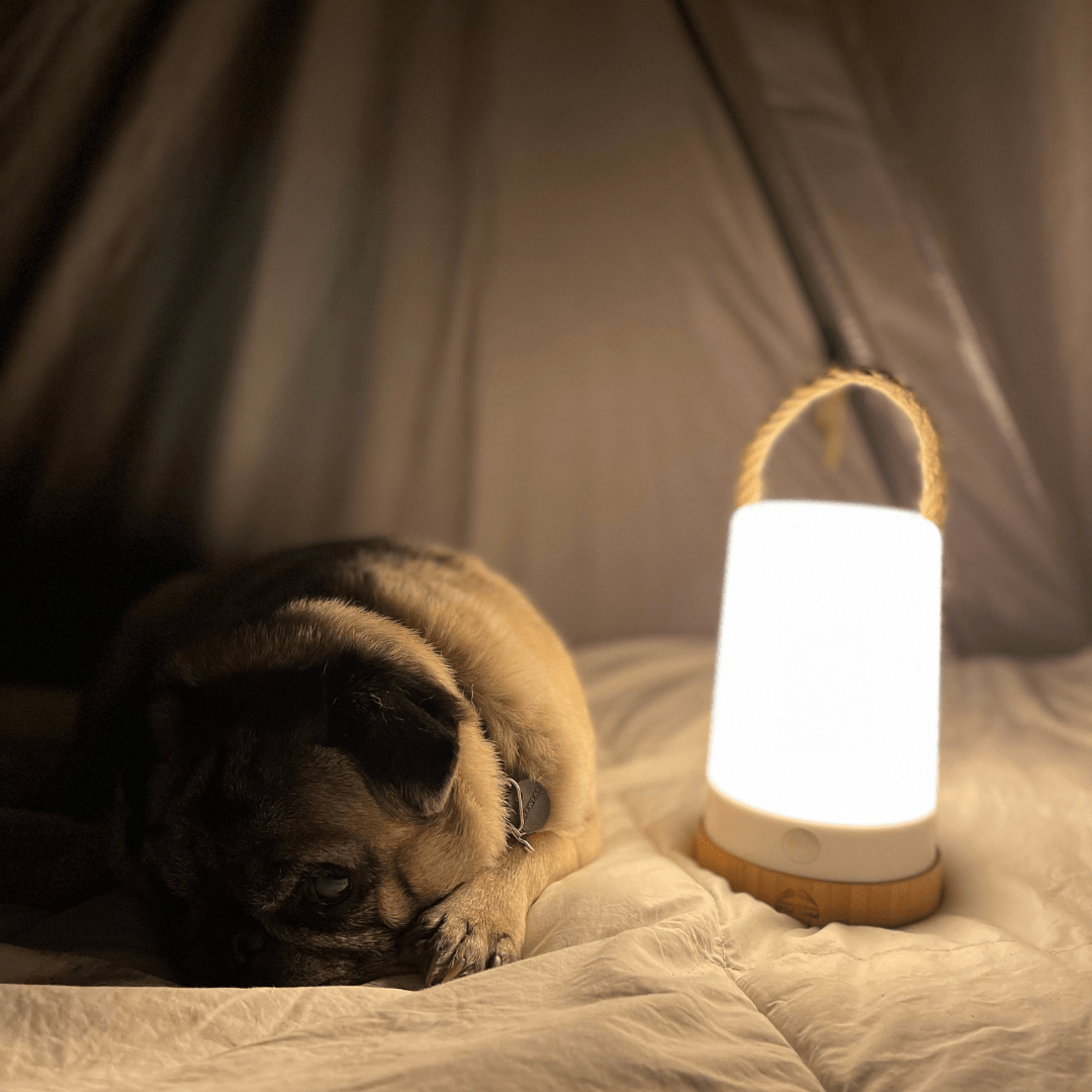 Lámpara Jade con Luz Cálida de 260 lm y Diseño Natural – Wild Land