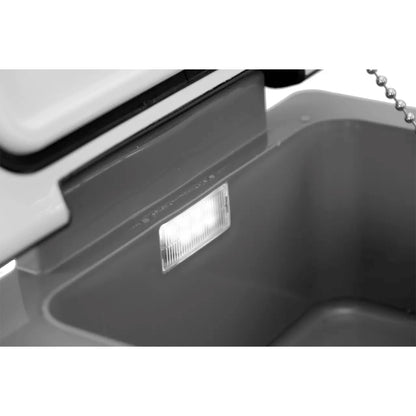 Interior del refrigerador portátil Alpicool CF55 mostrando luz LED para mejor visibilidad